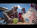 USAID critics call for targeted investments in foreign countries | VOA News