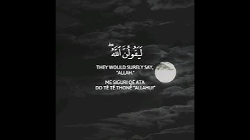 سورة العنكبوت | القارئ عبدالرحمن مسعد | Surah Al-'Ankabut - Abdulrhman Mosad ❤️🌿