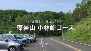 山のまこちゃん登山ブログ 藻岩山 小林峠コース 北海道夏山登山ガイド