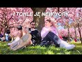 I tohle je new york  nyc diaries