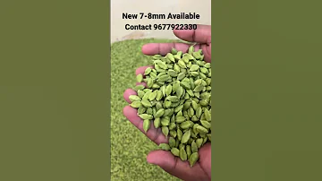 #cardamom #queenofspices #elaichi #exportquality #indianspices #wholesale #spices #bodi #mumbai