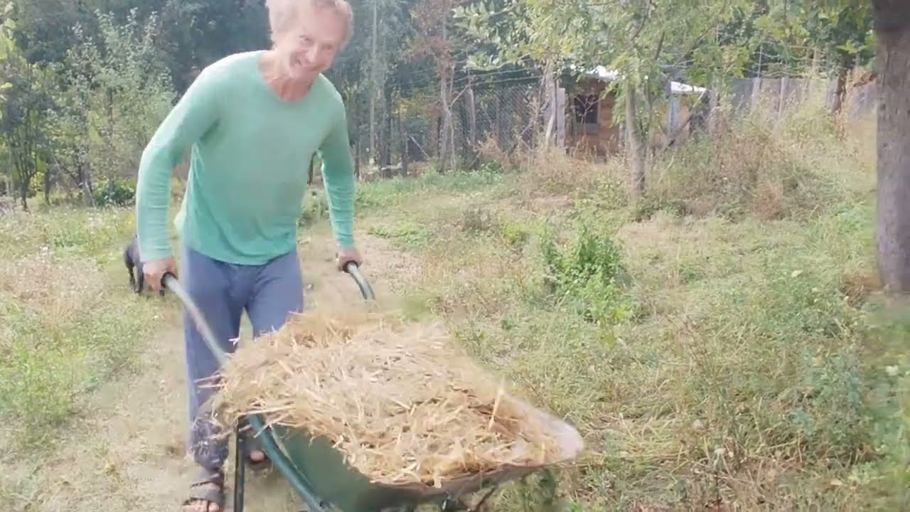 čišćenje kokošinjca