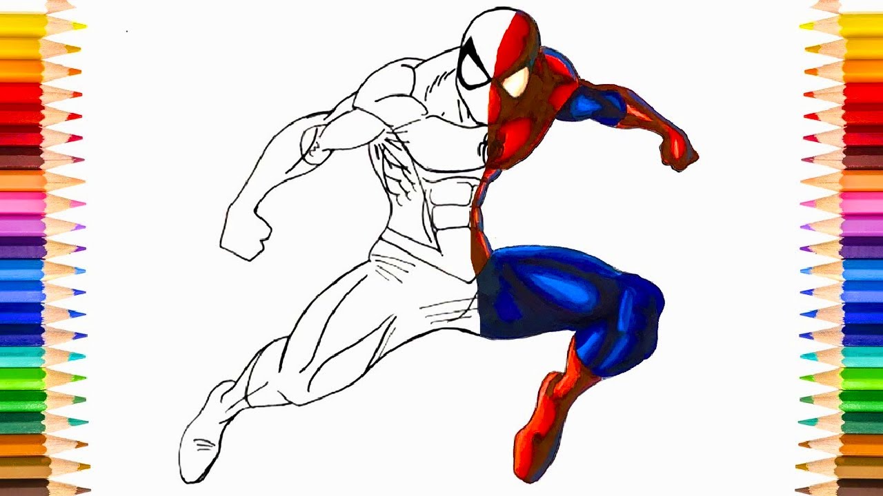 Spider Man and Captain America Coloring | Marvel Superhero Fan Art