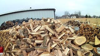 SPLITTING NEXT YEARS FIREWOOD AND WOOD YARD TOUR!