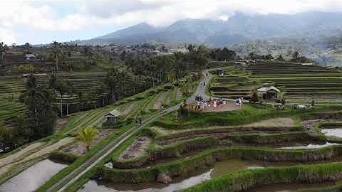 BALI RISAIE DI JATILUWIH Patrimonio UNESCO - 4K by Yuri Grisendi
