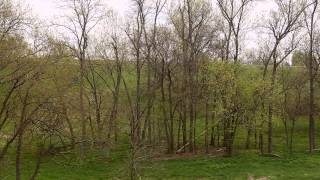 Prescribed Fire: It's Time