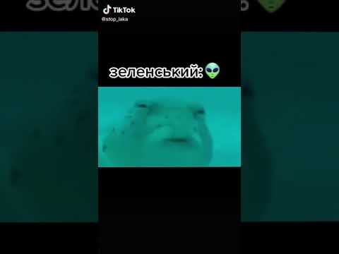 Шок! Путин признался что он Украинец, реакция Зеленского 😱