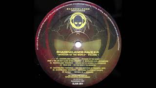 DJ Zany - The Wall - Shadowlands Records SLAN 001