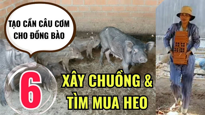 Thợ xây nhà tiếng anh là gì năm 2024