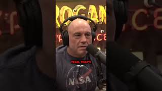 Famous JRE #2254 - Mel Gibson - #jre - City Crumble Chronicles Profile