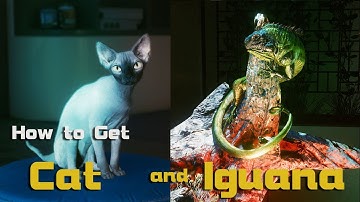 How To Get PET CAT & A Secret PET IGUANA