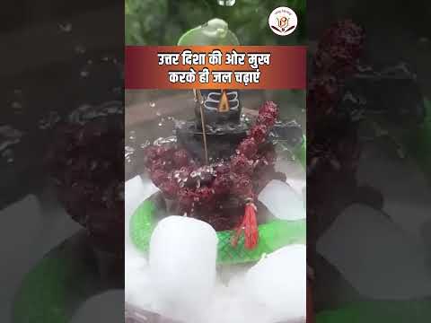 कहीं आप तो शिवलिंग की पूजा में नहीं कर रहे ये गलतियां | Mahadev Puja Vidhi | Sawan 2023
