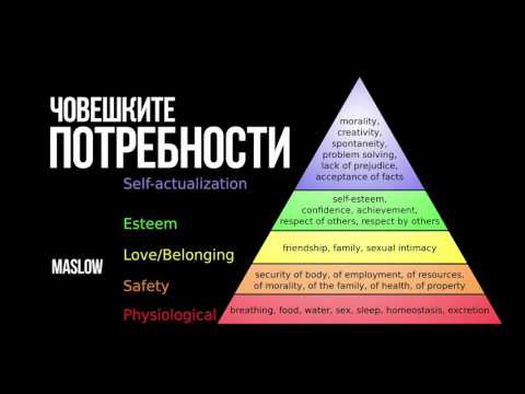 Психология: Човешките потребности. Пирамида на Маслоу и нива на реализация.
