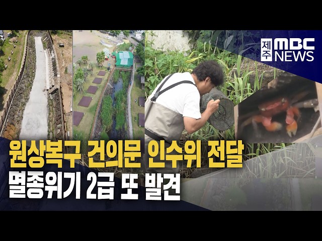 멸종위기 2급 또 발견‥원상복구 건의문 인수위에 전달