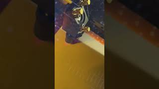 IMG 4139