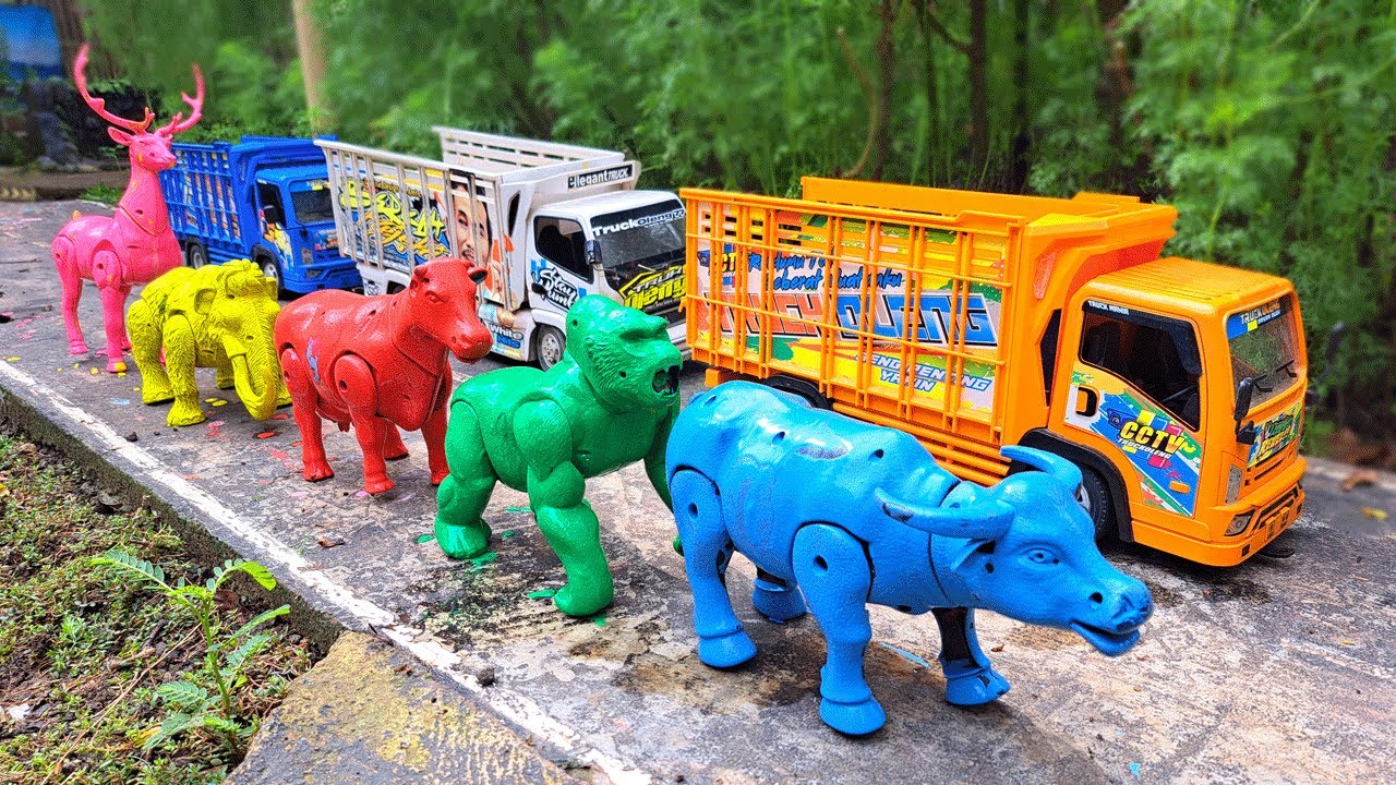 Wadidau‼️Proses Potong Sapi Kurban & Kerbau Lucu - Truk Oleng Angkut Sapi Kotor #15