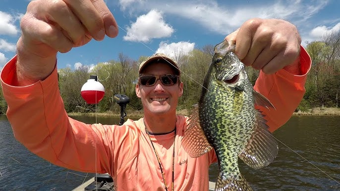 Net + Drop TG + Crappie = Perfection 🤩 #openwater #spring