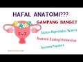 30+ Anatomi Fisiologi Kehamilan
