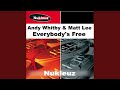 Miniature de la vidéo de la chanson Everybody's Free (Stu Allan Hardcore Remix)