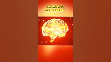 Debunking the 10% Brain Myth: How Much Do We Really Use?