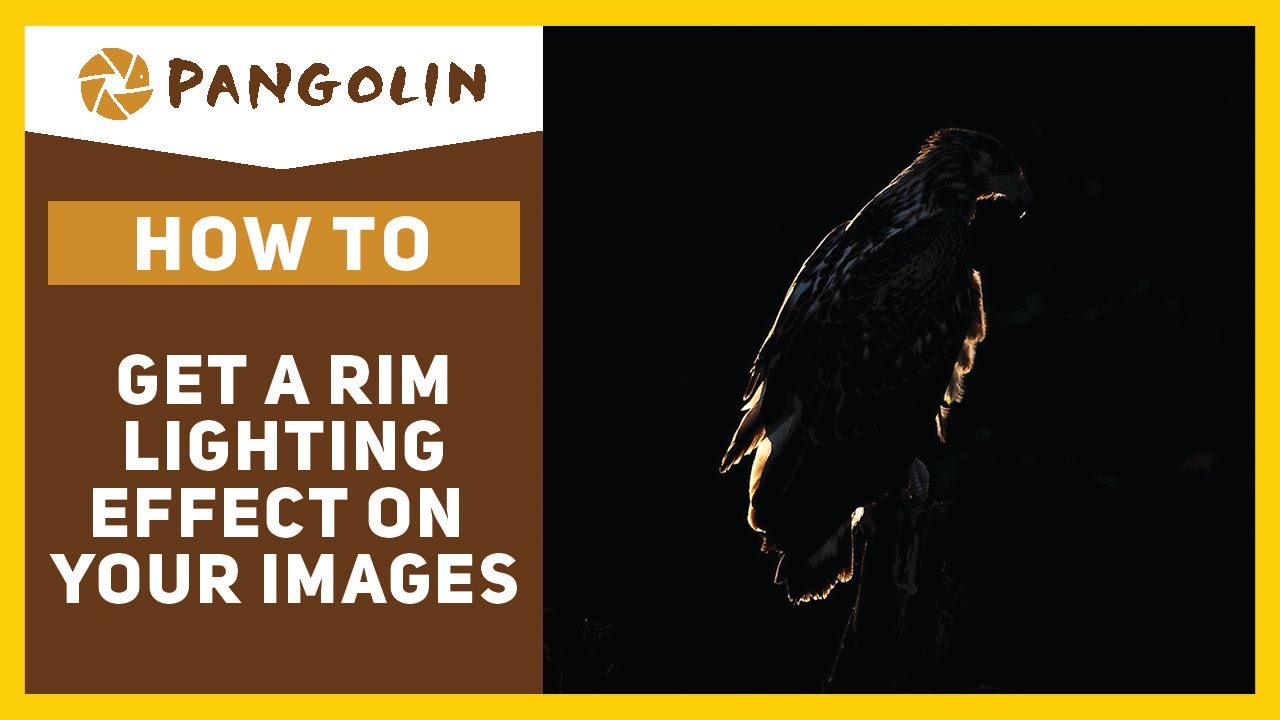 Nail that Rim Lighting Photography Effect every time!