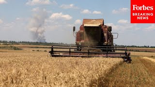 Pentagon Denounces Russia For Starving Other Countries By Withdrawing From Grain Initiative