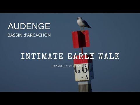 Audenge - BASSIN D' ARCACHON- Dans l'intimité d'une promenade matinale  |   Intimate Early Walk.