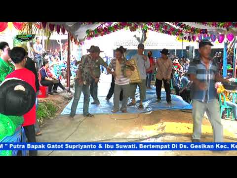 TAYUB TUBAN : SEKAR DADUNG