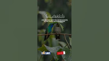 #قران_كريم #اكسبل  #quran #راحة_نفسية #قرآن #دويتو #تلاوة_خاشعة #حالات_واتس #quranicverse #المنشاوي