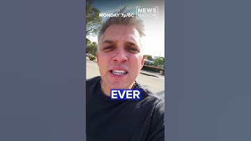 MEET THE "DOGE" AI PROGRAMMER