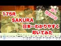 【Drum Cover】175R/SAKURAを日本一わかりやすく叩いてみた
