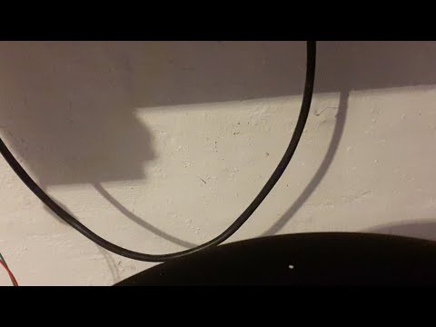 Wertzuiopü Wertzuiopü