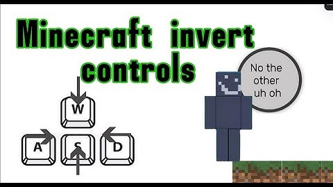 Minecraft with invert controls