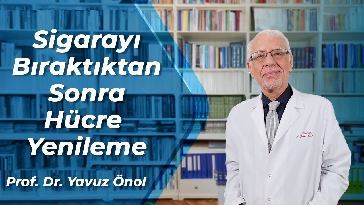 Sigarayı Bıraktan Sonra Yaşanan Hüre Yenilemesi Nasıl Olur Prof  Dr  Yavuz Önol
