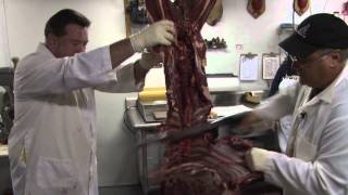 How To Process Your Deer