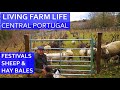 OUR FARM LIFE IN CENTRAL PORTUGAL - FESTIVALS, SHEEP AND HAY BALES... PORTUGUESE HOMESTEADING