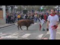 Azpeitia (Gui) Sokamuturra de Lunes de Carnaval, 20-02-2023 Ganadería Marqués de Saka.