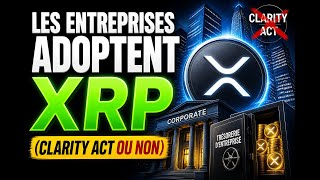 #XRP LIVESTREAM - LORD CRYPTO TV