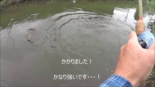 SONY Actioncam mini HDR-AZ1 TEST 20141102