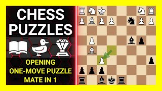 Chess Puzzles to Practice. Themes: Opening, One-move puzzle, Mate in 1. Learn Chess screenshot 2