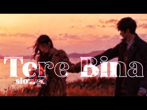Tere bina  [slowed x reworked] x A R Rahman x Chinmayi Sripada