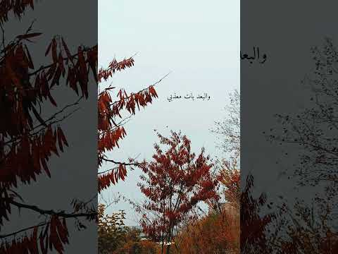 ودعته والدمع بي والبعد بات معذبي