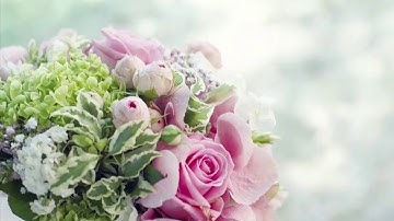 سورة يونس من الآية(54 -61) مكررة ثلاث مرات - الشيخ /ماهر المعيقلي