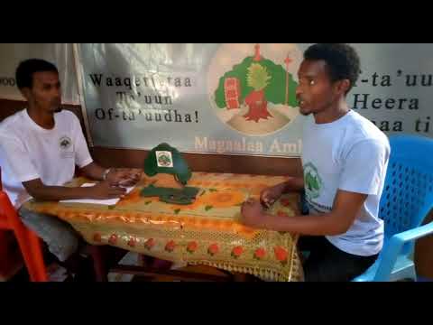 Galma Amanttii Waaqeffannaa Hora Amboo 