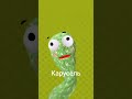 Карусель заставка