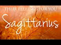 Sagittarius love tarot  someone who will try to explain themselves to you sagittarius 