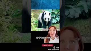 Yaya Has Now Returned To China But The Meixiang Family Is Still Suffering From Hunger And Abuse