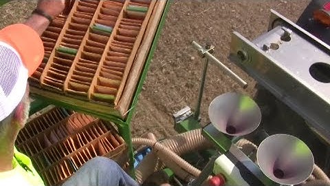 Replicated Testing Plots Yield Solid Research