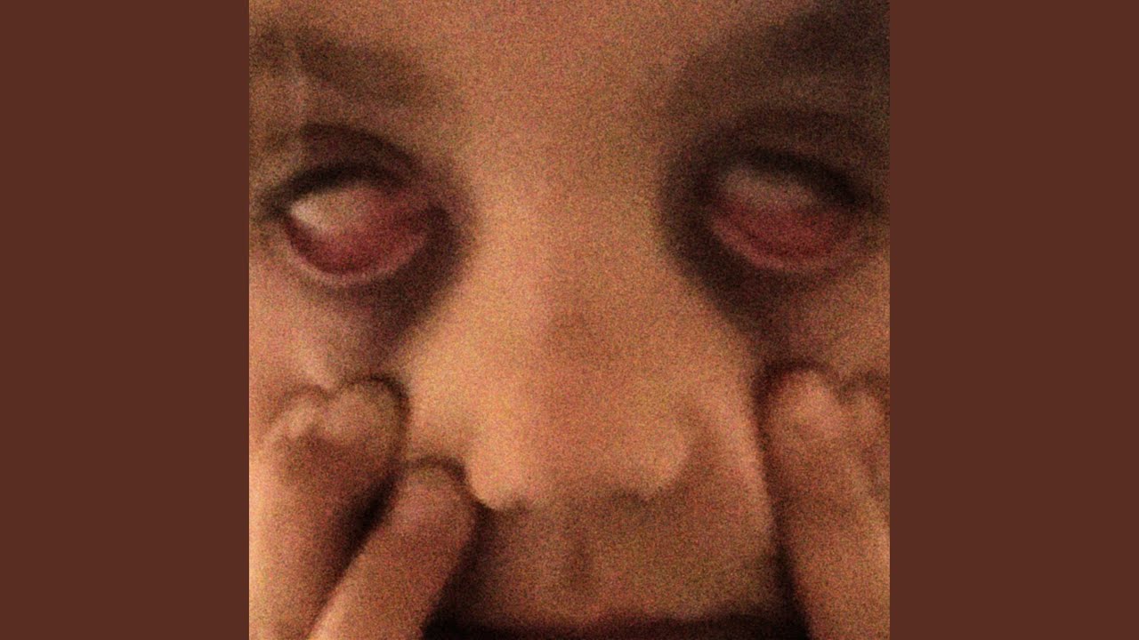 Una volpe, una lince, degli elefanti