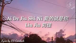 Lyrics Ai De Jiu Shi Ni (爱的就是你) - Liu Jia (刘佳)